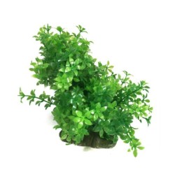Aqua Natura,  roślina, do dekoracji akwarium, zielona, plastikowa, 12-18 cm , gęsta w drobne liście
