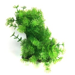 Aqua Natura,  roślina, do dekoracji akwarium, zielono-żółta, plastikowa, 12-18 cm , gęsta w drobne liście