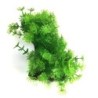 Aqua Natura,  roślina, do dekoracji akwarium, zielono-żółta, plastikowa, 12-18 cm , gęsta w drobne liście