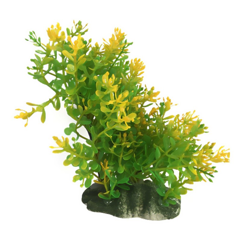 Aqua Natura,  roślina, do dekoracji akwarium, zielono-żółta, plastikowa, 12-18 cm , gęsta w drobne liście