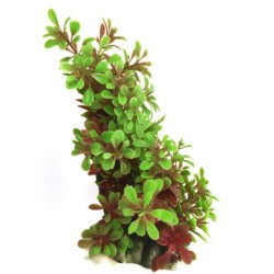Aqua Natura,  roślina, do dekoracji akwarium, zielono-czerwona, plastikowa, 12-20 cm , duże kwiaty, czerwone łodygi