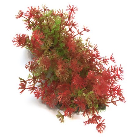 Aqua Natura,  roślina, do dekoracji akwarium, czerwona, plastikowa, 12-23 cm , bardzo drobne czerwone kwiaty