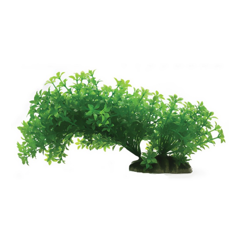 Aqua Natura,  roślina, do dekoracji akwarium, zielona, plastikowa, 23 cm , rozlegla roślina na wąskiej podstawce