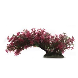 Aqua Natura,  roślina, do dekoracji akwarium, czerwona, plastikowa, 23 cm , rozlegla roślina na wąskiej podstawce, czerwone końc