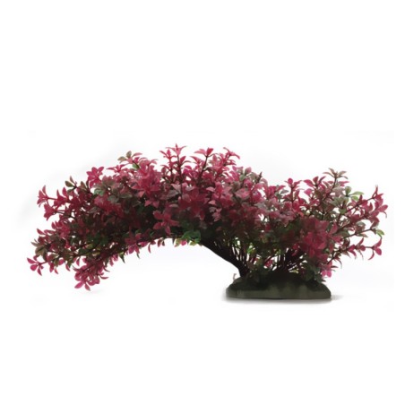 Aqua Natura,  roślina, do dekoracji akwarium, czerwona, plastikowa, 23 cm , rozlegla roślina na wąskiej podstawce, czerwone końc