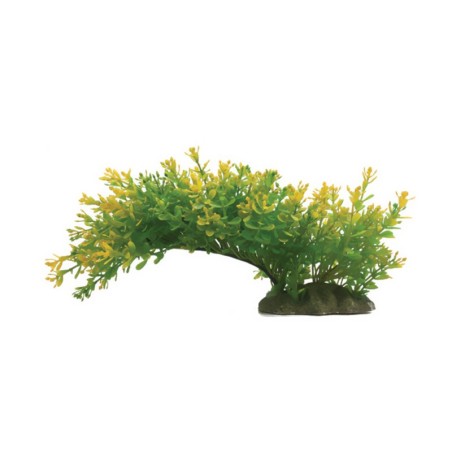 Aqua Natura,  roślina, do dekoracji akwarium, zielona, plastikowa, 23 cm , rozlegla roślina na wąskiej podstawce, żółtawe końców