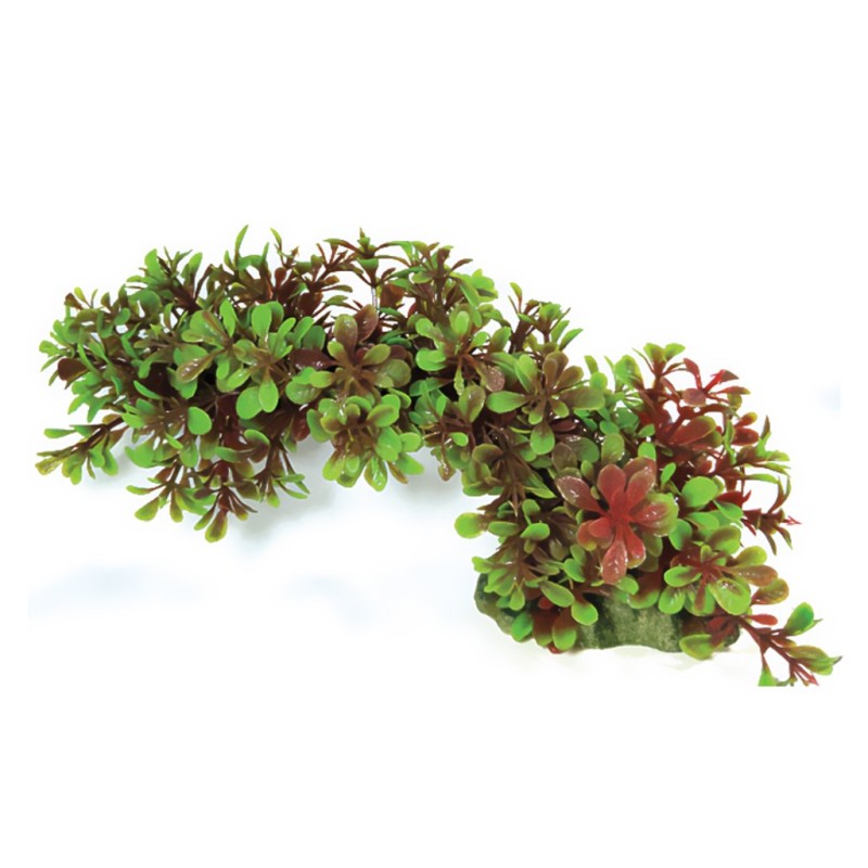 Aqua Natura,  roślina, do dekoracji akwarium, zielono-czerwona, plastikowa, 23 cm , w kształcie łuku