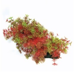 Aqua Natura,  roślina, do dekoracji akwarium, zielono-czerwona, plastikowa, 23 cm , bardzo gęsta w drobne liście