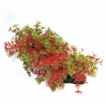 Aqua Natura,  roślina, do dekoracji akwarium, zielono-czerwona, plastikowa, 23 cm , bardzo gęsta w drobne liście