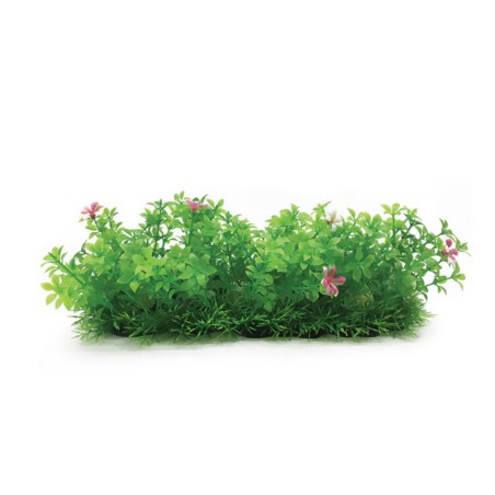 Aqua Natura,  roślina, do dekoracji akwarium, zieona, plastikowa, 10 cm , doniczka korytkowa, pojedyncze różowe kwiaty