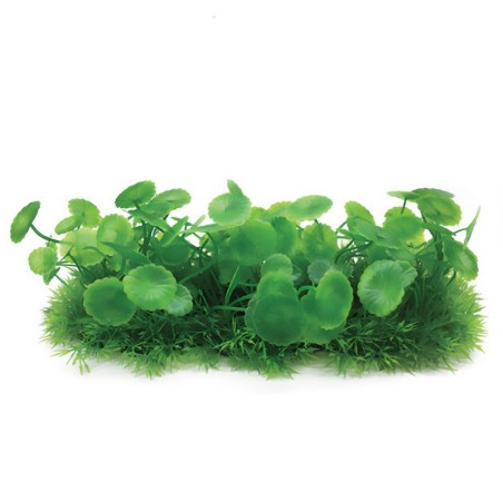 Aqua Natura,  roślina, do dekoracji akwarium, zielona, plastikowa, 10 cm , doniczka korytkowa, duże płaskie liście