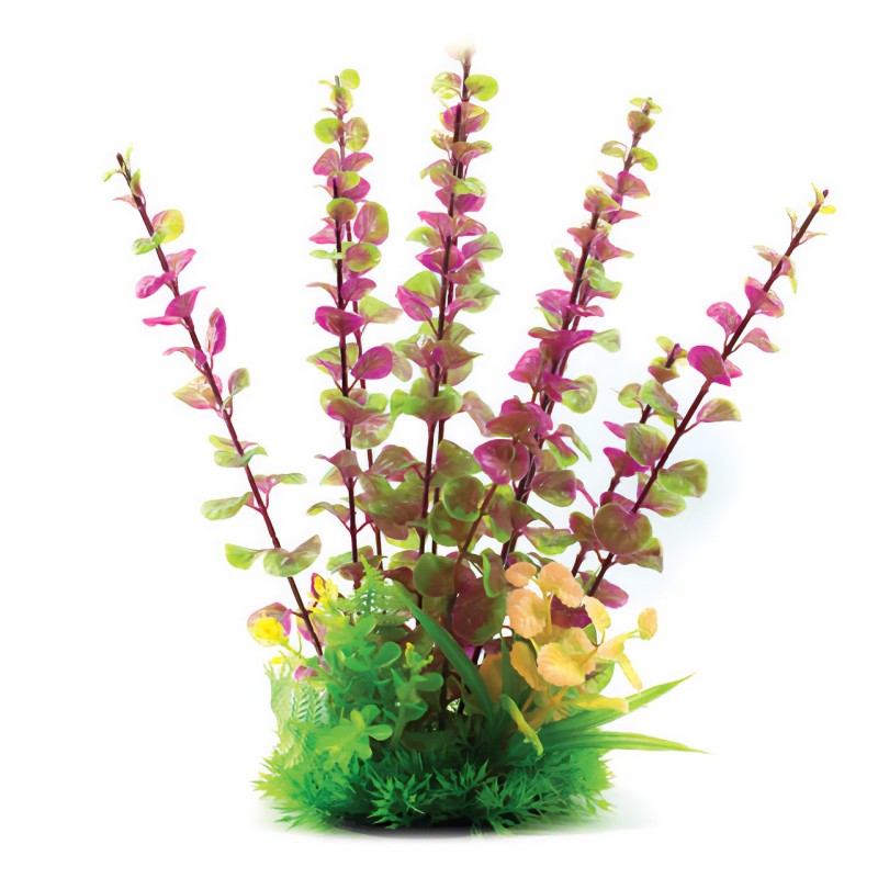 Aqua Natura,  roślina, do dekoracji akwarium, fioletowa, plastikowa, 31 cm , długie łodygi i drobne liście