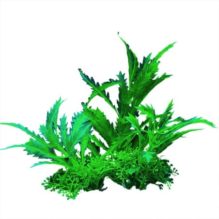 Aqua Natura,  roślina, do dekoracji akwarium, zielona, plastikowa, 12 cm , rozłożyste liście
