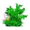 Aqua Natura,  roślina, do dekoracji akwarium, zielona, plastikowa, 12 cm , gęsta rośinność  dodatkiem różu