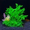 Aqua Natura,  roślina, do dekoracji akwarium, zielona, plastikowa, 12 cm , gęsta rośinność  dodatkiem różu