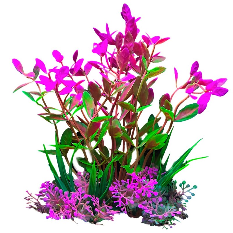 Aqua Natura,  roślina, do dekoracji akwarium, zielono-różowa, plastikowa, 12 cm , drobne liście