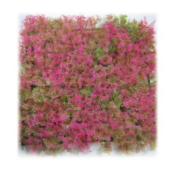 Aqua Natura,  roślina, do dekoracji akwarium, różowa, plastikowa, 25 cm x 25 cm , morski dywan
