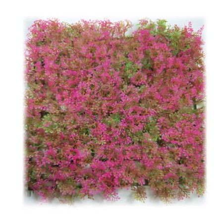 Aqua Natura,  roślina, do dekoracji akwarium, różowa, plastikowa, 25 cm x 25 cm , morski dywan