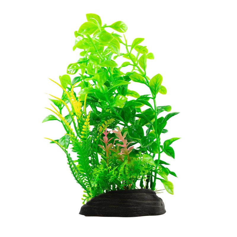 Aqua Natura,  roślina, do dekoracji akwarium, zielona, plastikowa, 20 cm , paprotka i młode pędy