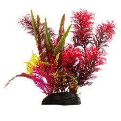 Aqua Natura,  roślina, do dekoracji akwarium, czerwono-różowo-zielone, plastikowa, 20 cm , różne rośliny