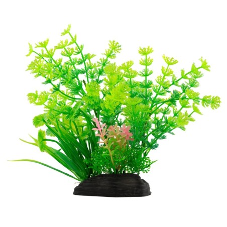 Aqua Natura,  roślina, do dekoracji akwarium, zielona, plastikowa, 20 cm , paprotka i spirulina