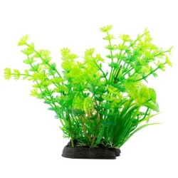 Aqua Natura,  roślina, do dekoracji akwarium, zielona, plastikowa, 20 cm , paprotka i spirulina