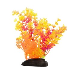 Aqua Natura,  roślina, do dekoracji akwarium, mix kolorów, plastikowa, 20 cm , paprotka i spirulina