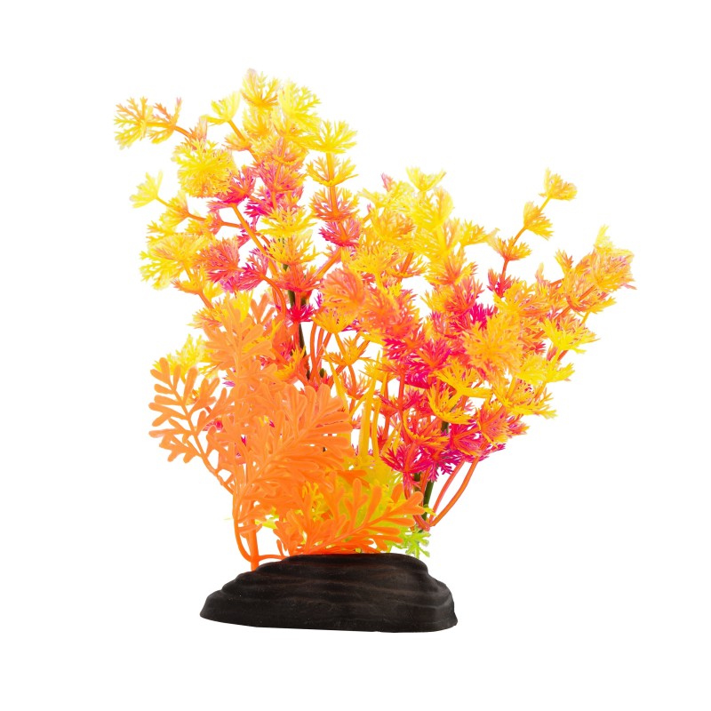 Aqua Natura,  roślina, do dekoracji akwarium, mix kolorów, plastikowa, 20 cm , paprotka i spirulina