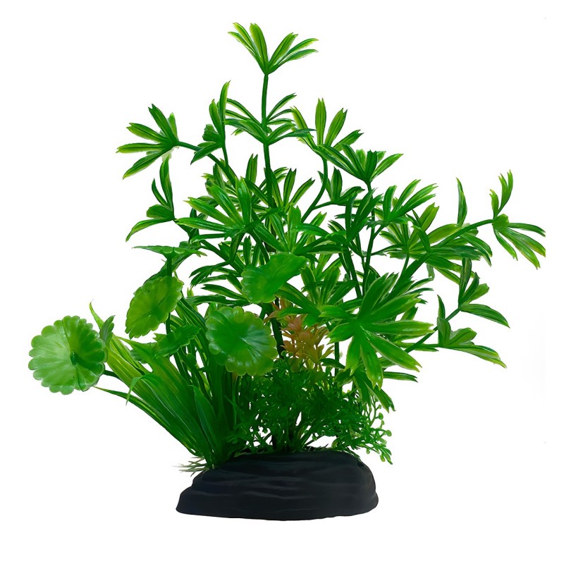 Aqua Natura,  roślina, do dekoracji akwarium, zielona, plastikowa, 20 cm , paprotka i młode pędy