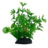 Aqua Natura,  roślina, do dekoracji akwarium, zielona, plastikowa, 20 cm , paprotka i młode pędy