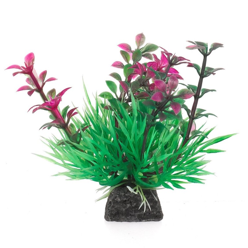 Aqua Natura,  roślina, do dekoracji akwarium, zielono-różowa, plastikowa, 10 cm , wzrastające pędy i spirulina