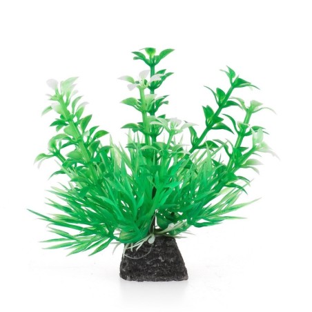Aqua Natura,  roślina, do dekoracji akwarium, zielona, plastikowa, 10 cm , wzrastające pędy i spirulina