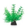 Aqua Natura,  roślina, do dekoracji akwarium, zielona, plastikowa, 10 cm , wzrastające pędy i spirulina