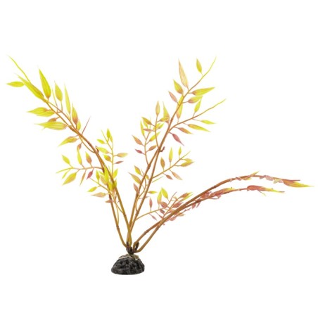 Aqua Natura,  roślina, do dekoracji akwarium, żółta, plastikowa, 20 cm , młody beniaminek