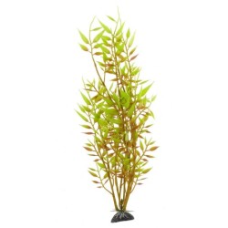 Aqua Natura,  roślina, do dekoracji akwarium, żółta, plastikowa, 31 cm , młody beniaminek