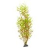 Aqua Natura,  roślina, do dekoracji akwarium, żółta, plastikowa, 31 cm , młody beniaminek