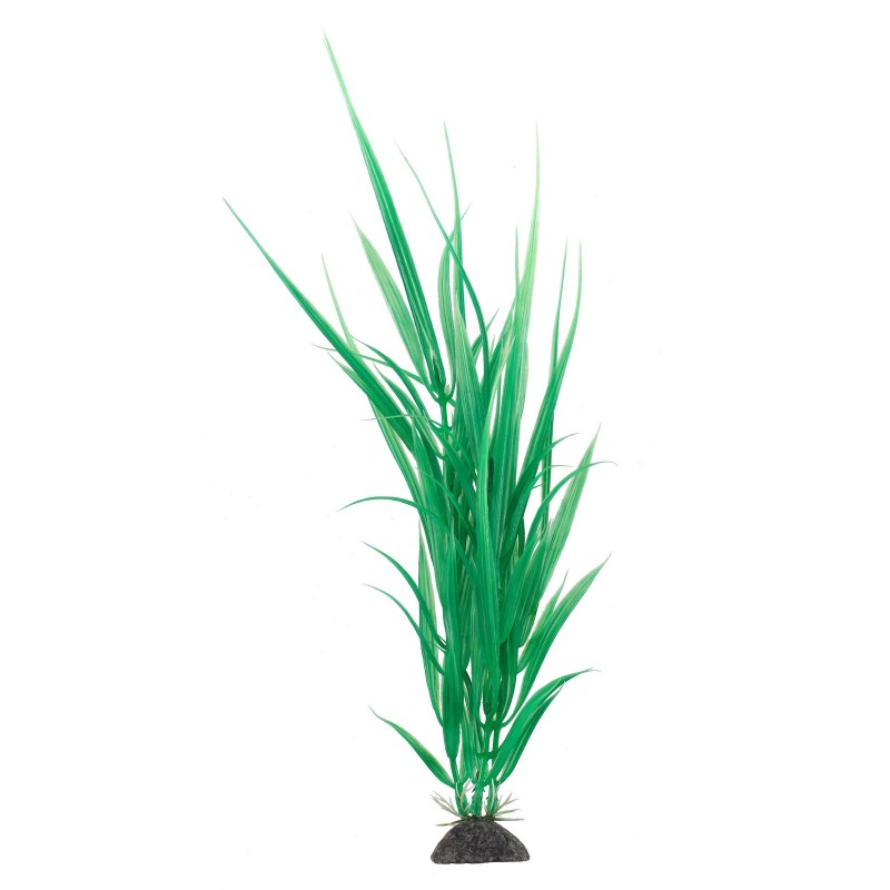 Aqua Natura,  roślina, do dekoracji akwarium, zielona, plastikowa, 31 cm , dzika trawa
