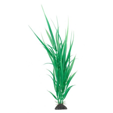 Aqua Natura,  roślina, do dekoracji akwarium, zielona, plastikowa, 31 cm , dzika trawa