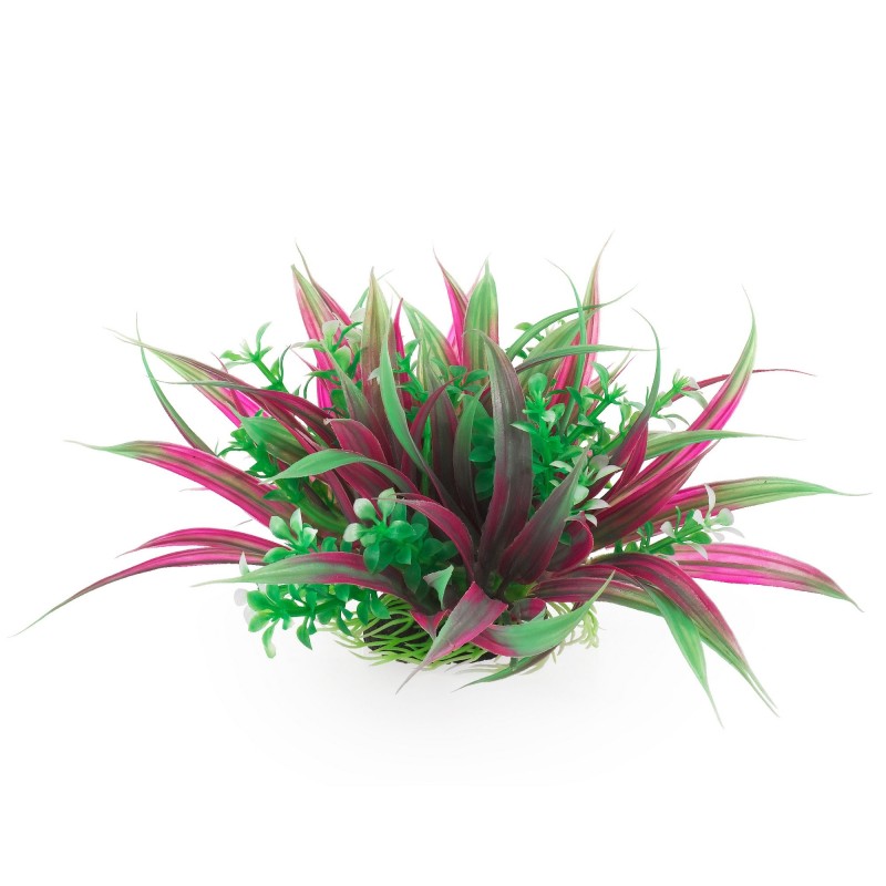 Aqua Natura,  roślina, do dekoracji akwarium, zielono-fioletowa, plastikowa, 10 cm , oplątwa
