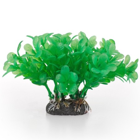 Aqua Natura,  roślina, do dekoracji akwarium, zielona, plastikowa, 10 cm , wodna paprotka