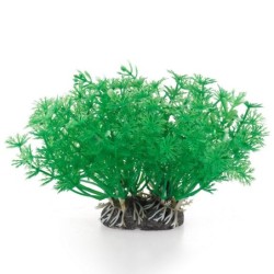 Aqua Natura,  roślina, do dekoracji akwarium, zielona, plastikowa, 10 cm , pędy kopru, szerokie