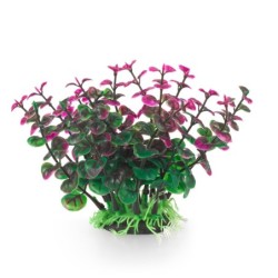 Aqua Natura,  roślina, do dekoracji akwarium, zielono-fioletowa, plastikowa, 12 cm , peperomia