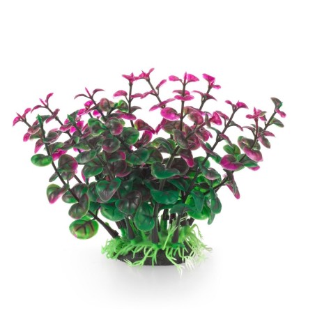 Aqua Natura,  roślina, do dekoracji akwarium, zielono-fioletowa, plastikowa, 12 cm , peperomia