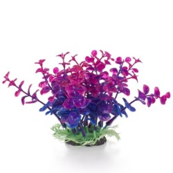 Aqua Natura,  roślina, do dekoracji akwarium, granatowo-fioletowa, plastikowa, 12 cm , peperomia