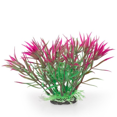 Aqua Natura,  roślina, do dekoracji akwarium, fioletowa, plastikowa, 12 cm , kwiat w kształcie tulipana, szipczasty