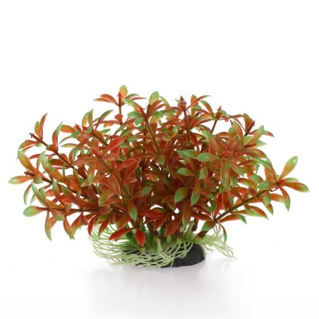 Aqua Natura,  roślina, do dekoracji akwarium, zielono-brunatna, plastikowa, 20 cm , gęste pędy, szerokie