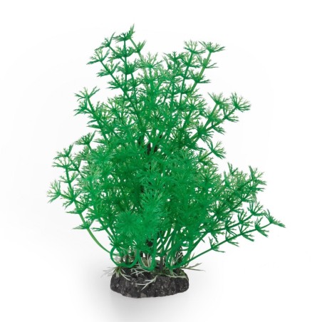 Aqua Natura,  roślina, do dekoracji akwarium, zielona, plastikowa, 20 cm , bardzo gęste pędy kopru