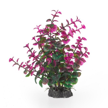 Aqua Natura,  roślina, do dekoracji akwarium, zielono-fioletowa, plastikowa, 20 cm , peperomia