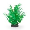 Aqua Natura,  roślina, do dekoracji akwarium, zielona, plastikowa, 20 cm , wysoka peperomia