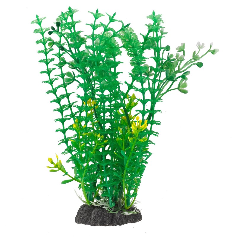 Aqua Natura,  roślina, do dekoracji akwarium, zielona, plastikowa, 20 cm , pędy kopru, białe i żółte kwiaty